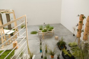 Nature-individuelle-montage-01