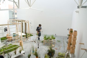 Nature-individuelle-montage-02