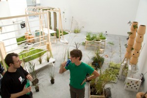 Nature-individuelle-montage-03