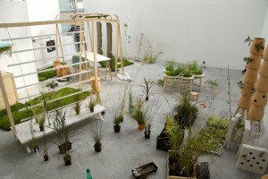 Nature-individuelle-montage-04