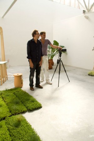 Nature-individuelle-montage-05