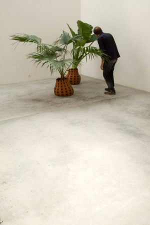 Nature-individuelle-montage-06