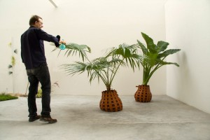 Nature-individuelle-montage-07