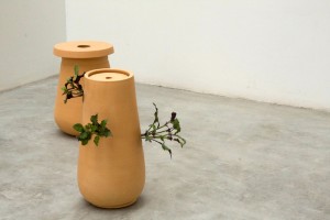 Nature-individuelle-montage-10