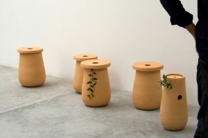 Nature-individuelle-montage-11