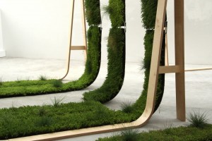 Nature-individuelle-montage-14