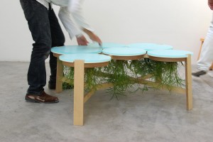 Nature-individuelle-montage-17