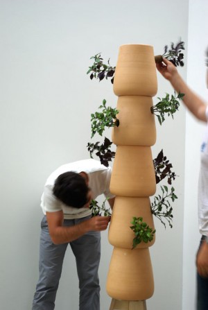 Nature-individuelle-montage-19