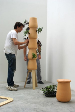 Nature-individuelle-montage-20