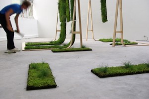 Nature-individuelle-montage-21