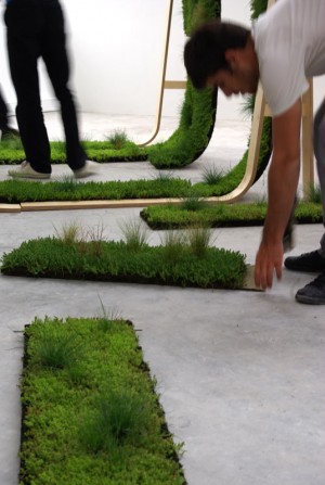 Nature-individuelle-montage-22