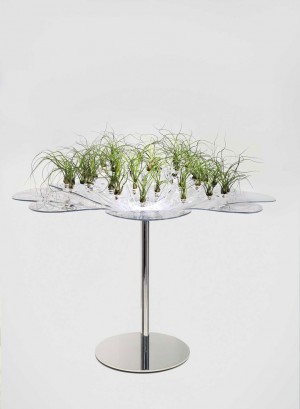 dentelle-28-10-06(1)